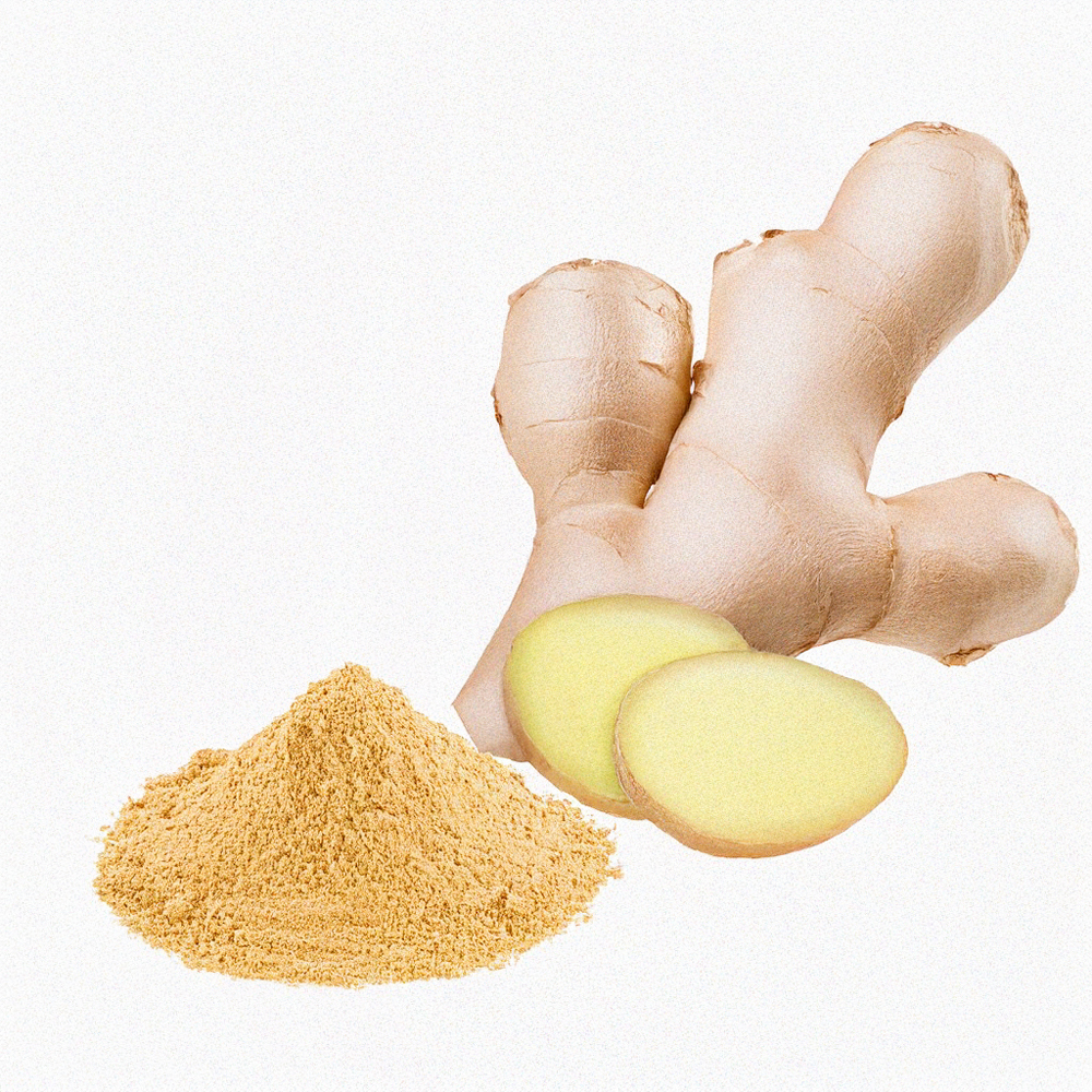 Zencefil